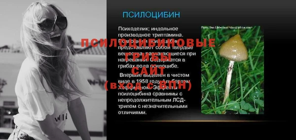стафф Мегион