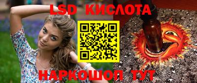 альфа пвп Заводоуковск