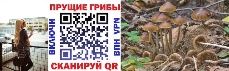 Псилоцибиновые грибы ЛСД Зеленогорск