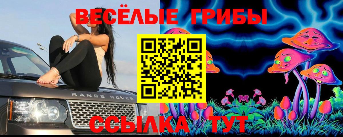 Зеленогорск  Галлюциногенные грибы MAGIC MUSHROOMS  Вход с VPN 