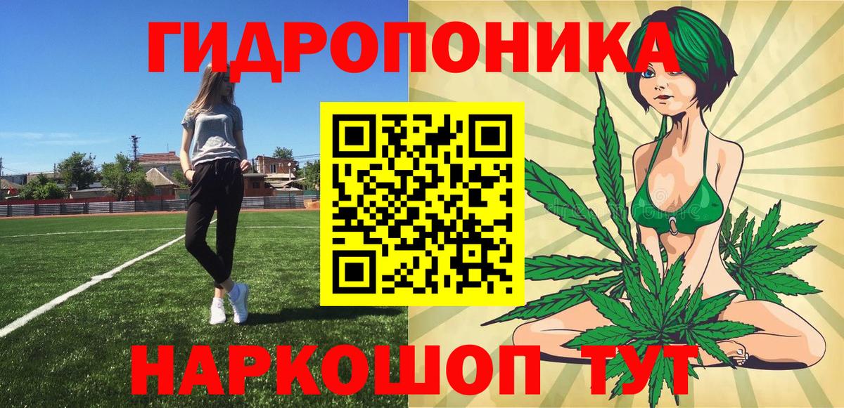 Бошки Шишки сатива Зеленогорск
